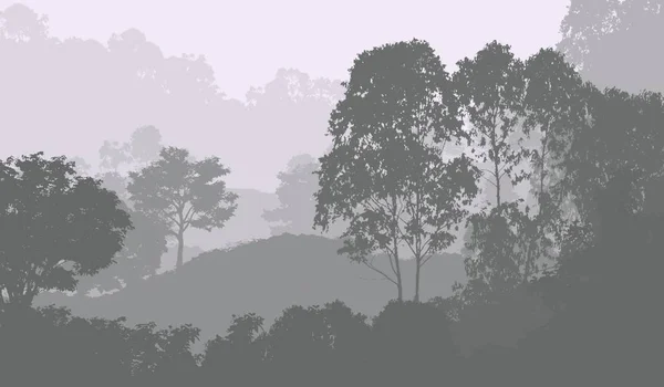 雾中的树 森林深处的阴霾 被植物和树叶覆盖的山丘 灌木和灌木 落叶木 — 图库照片