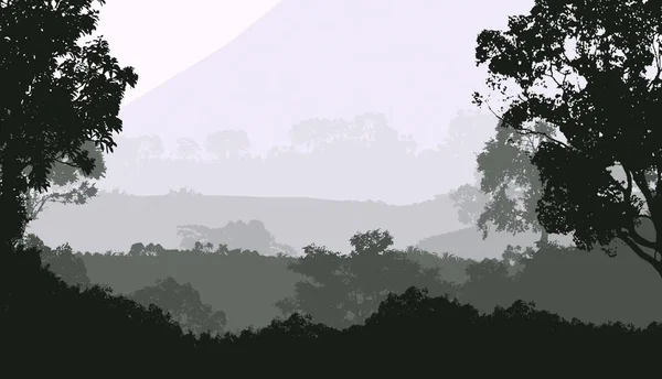 Illustrazione Alberi Nella Nebbia Foresta Profonda Foschia Colline Coperte Piante — Foto Stock