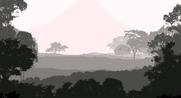 2Dイラスト 霧の中の木々 深い森のかすみ 植物や葉で覆われた丘 低木と茂み落葉樹 — ストック写真