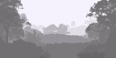 2d illüstrasyon. Sisteki ağaçlar. Derin orman sisi. Bitkiler ve yapraklarla kaplı tepeler. Çalılar ve çalılar. Yaprak döken ahşap. 