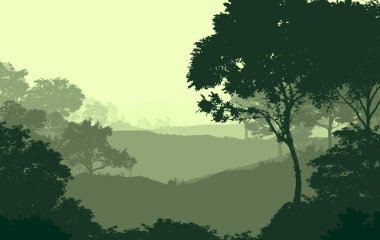2d illüstrasyon. Sisteki ağaçlar. Derin orman sisi. Bitkiler ve yapraklarla kaplı tepeler. Çalılar ve çalılar. Yaprak döken ahşap. 
