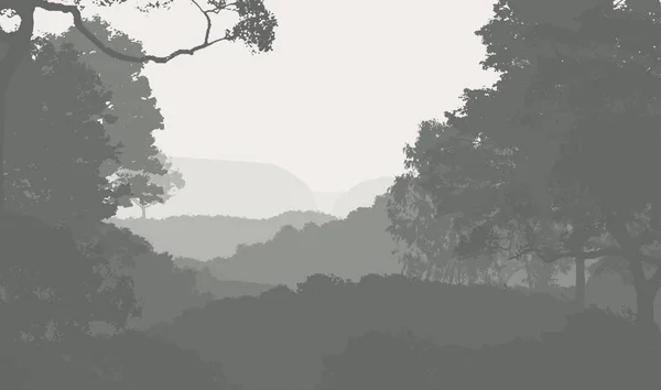 Illustrazione Alberi Nella Nebbia Foresta Profonda Foschia Colline Coperte Piante — Foto Stock