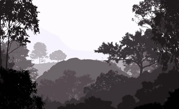 Illustrazione Alberi Nella Nebbia Foresta Profonda Foschia Colline Coperte Piante — Foto Stock