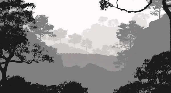 Illustration Des Arbres Dans Brouillard Brume Forêt Profonde Collines Couvertes — Photo