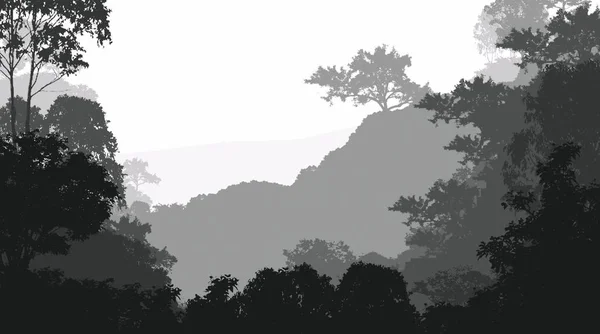 Illustrazione Alberi Nella Nebbia Foresta Profonda Foschia Colline Coperte Piante — Foto Stock