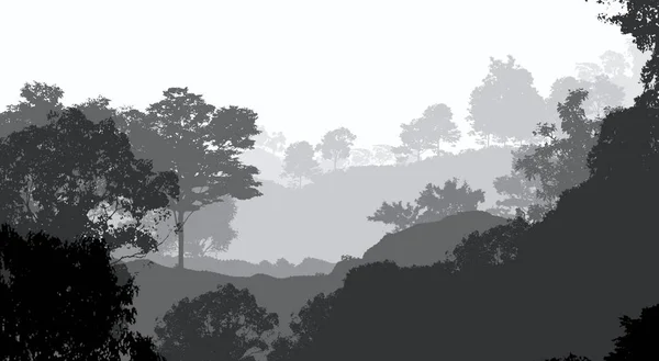 Illustration Des Arbres Dans Brouillard Brume Forêt Profonde Collines Couvertes — Photo