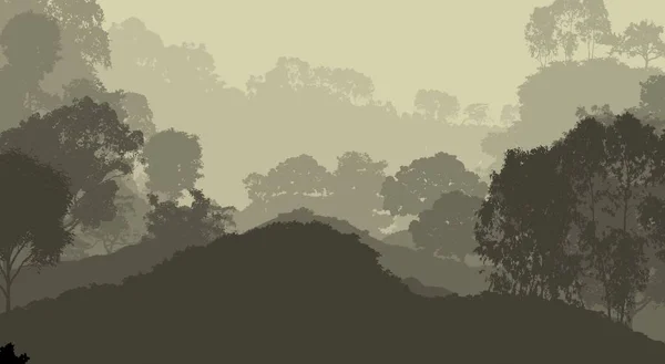 Illustrazione Alberi Nella Nebbia Foresta Profonda Foschia Colline Coperte Piante — Foto Stock