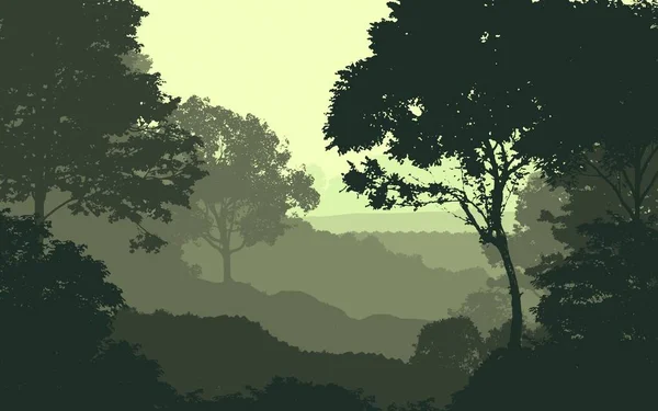 Illustration Des Arbres Dans Brouillard Brume Forêt Profonde Collines Couvertes — Photo