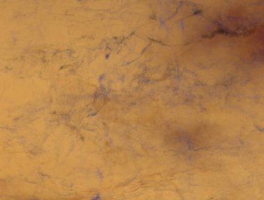 metin için alan ile renkli mermer doku ile soyut arka plan