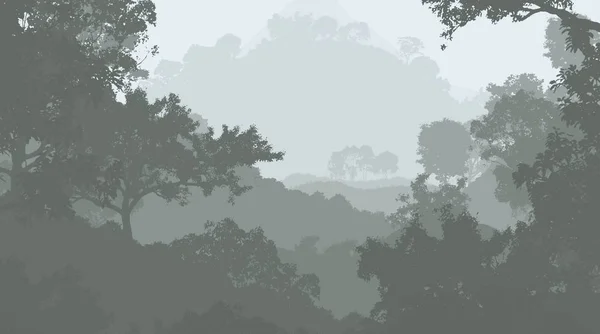 2d illustration. Trees in fog. Deep forest haze. Hills covered by plants and foliage. Shrubs and bushes. Deciduous wood.