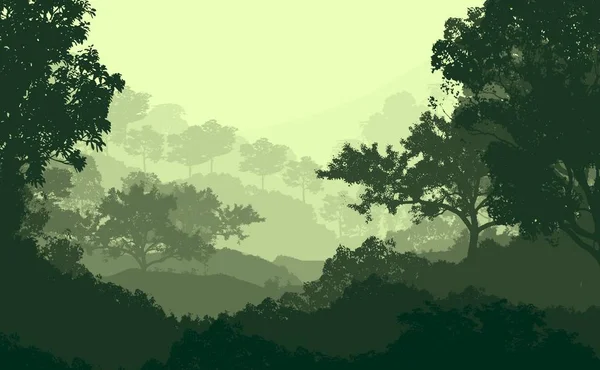 2d illustration. Trees in fog. Deep forest haze. Hills covered by plants and foliage. Shrubs and bushes. Deciduous wood.