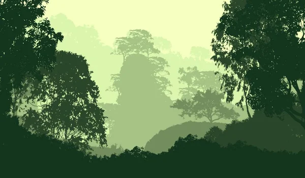 Illustratie Bomen Mist Deep Forest Haze Heuvels Bedekt Met Planten — Stockfoto