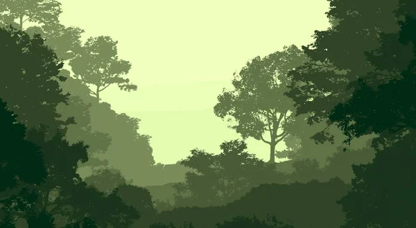 Illustrazione Alberi Nella Nebbia Foresta Profonda Foschia Colline Coperte Piante — Foto Stock