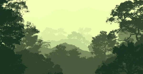 Ilustración Árboles Niebla Niebla Profunda Del Bosque Colinas Cubiertas Por — Foto de Stock