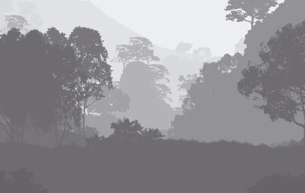 Ilustración Árboles Niebla Niebla Profunda Del Bosque Colinas Cubiertas Por — Foto de Stock