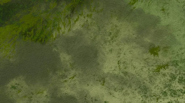 Boya lekeleriyle soyut arkaplan 