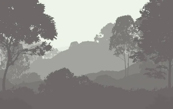 Ілюстрація Дерева Тумані Глибокий Лісовий Туман Пагорби Покриті Рослинами Листям — стокове фото