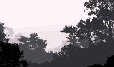 2d illüstrasyon. Sisteki ağaçlar. Derin orman sisi. Bitkiler ve yapraklarla kaplı tepeler. Çalılar ve çalılar. Yaprak döken ahşap. 