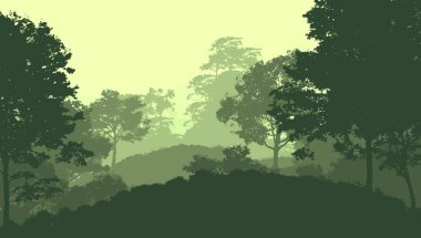 2d illüstrasyon. Sisteki ağaçlar. Derin orman sisi. Bitkiler ve yapraklarla kaplı tepeler. Çalılar ve çalılar. Yaprak döken ahşap. 