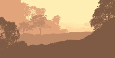 2d illüstrasyon. Sisteki ağaçlar. Derin orman sisi. Bitkiler ve yapraklarla kaplı tepeler. Çalılar ve çalılar. Yaprak döken ahşap. 