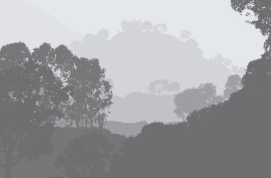 2d illüstrasyon. Sisteki ağaçlar. Derin orman sisi. Bitkiler ve yapraklarla kaplı tepeler. Çalılar ve çalılar. Yaprak döken ahşap. 