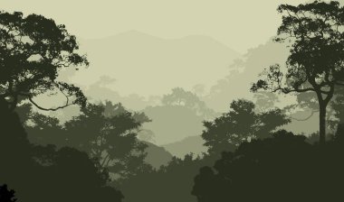 2d illüstrasyon. Sisteki ağaçlar. Derin orman sisi. Bitkiler ve yapraklarla kaplı tepeler. Çalılar ve çalılar. Yaprak döken ahşap. 