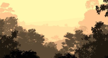 2d illüstrasyon. Sisteki ağaçlar. Derin orman sisi. Bitkiler ve yapraklarla kaplı tepeler. Çalılar ve çalılar. Yaprak döken ahşap. 