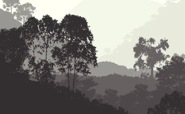 Illustration Träd Dimma Djupa Skogs Dis Kullar Täckta Växter Och — Stockfoto