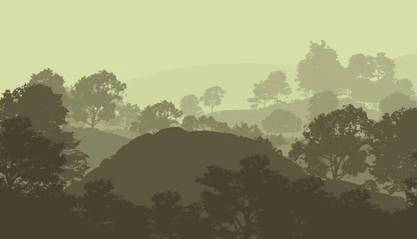 Illustration Des Arbres Dans Brouillard Brume Forêt Profonde Collines Couvertes — Photo