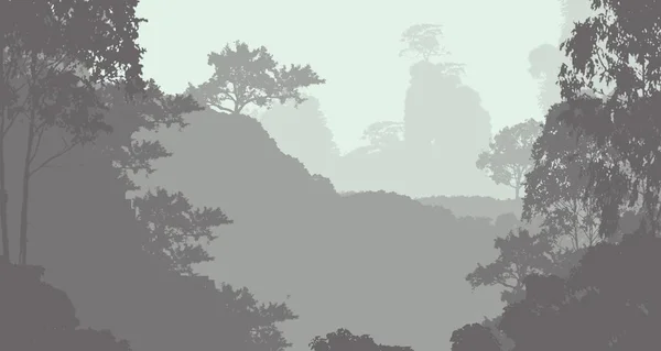 Illustration Des Arbres Dans Brouillard Brume Forêt Profonde Collines Couvertes — Photo