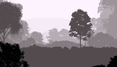 2d illüstrasyon. Sisteki ağaçlar. Derin orman sisi. Bitkiler ve yapraklarla kaplı tepeler. Çalılar ve çalılar. Yaprak döken ahşap. 