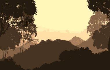 2d illüstrasyon. Sisteki ağaçlar. Derin orman sisi. Bitkiler ve yapraklarla kaplı tepeler. Çalılar ve çalılar. Yaprak döken ahşap. 