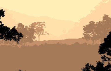 2d illüstrasyon. Sisteki ağaçlar. Derin orman sisi. Bitkiler ve yapraklarla kaplı tepeler. Çalılar ve çalılar. Yaprak döken ahşap. 