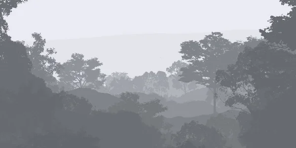 Illustration Trees Fog Deep Forest Haze Hills Covered Plants Foliage — Stock Photo, Image