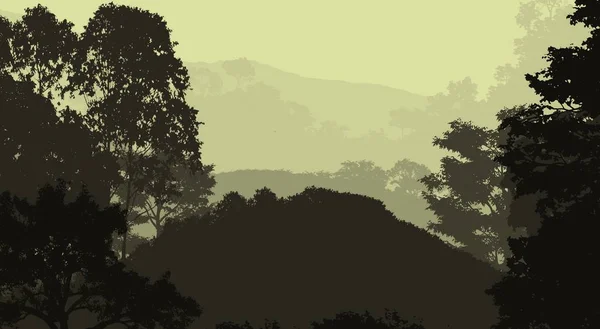 Illustration Trees Fog Deep Forest Haze Hills Covered Plants Foliage — Stock Photo, Image