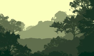2d illüstrasyon. Sisteki ağaçlar. Derin orman sisi. Bitkiler ve yapraklarla kaplı tepeler. Çalılar ve çalılar. Yaprak döken ahşap.