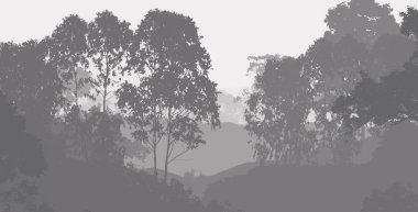 2d illüstrasyon. Sisteki ağaçlar. Derin orman sisi. Bitkiler ve yapraklarla kaplı tepeler. Çalılar ve çalılar. Yaprak döken ahşap.