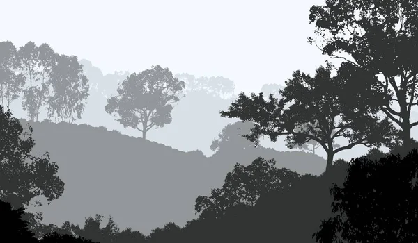 Illustration Trees Fog Deep Forest Haze Hills Covered Plants Foliage — Stock Photo, Image