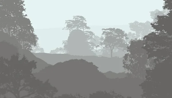 Illustration Des Arbres Dans Brouillard Brume Forêt Profonde Collines Couvertes — Photo