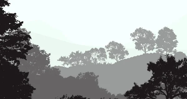 Illustration Des Arbres Dans Brouillard Brume Forêt Profonde Collines Couvertes — Photo