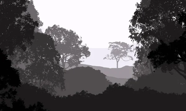 Ilustración Árboles Niebla Niebla Profunda Del Bosque Colinas Cubiertas Por — Foto de Stock