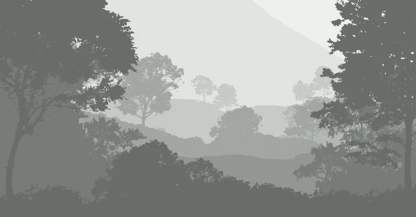 Illustrazione Alberi Nella Nebbia Foresta Profonda Foschia Colline Coperte Piante — Foto Stock