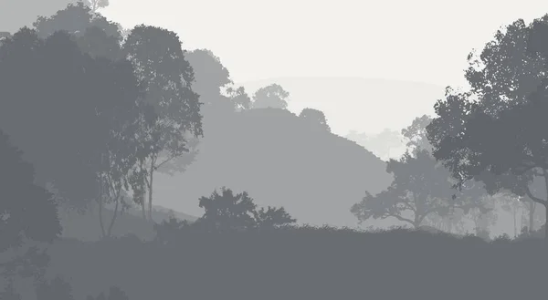 Illustrazione Alberi Nella Nebbia Foresta Profonda Foschia Colline Coperte Piante — Foto Stock