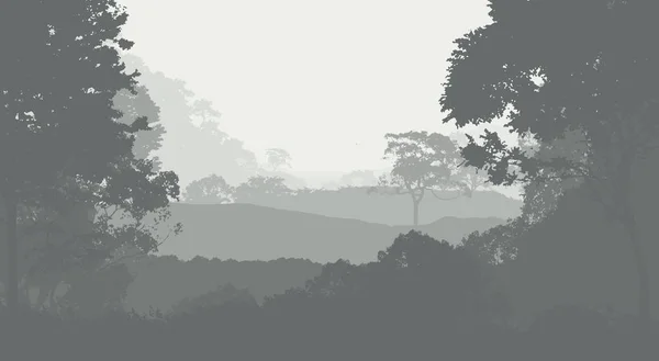 2d illustration. Trees in fog. Deep forest haze. Hills covered by plants and foliage. Shrubs and bushes. Deciduous wood.