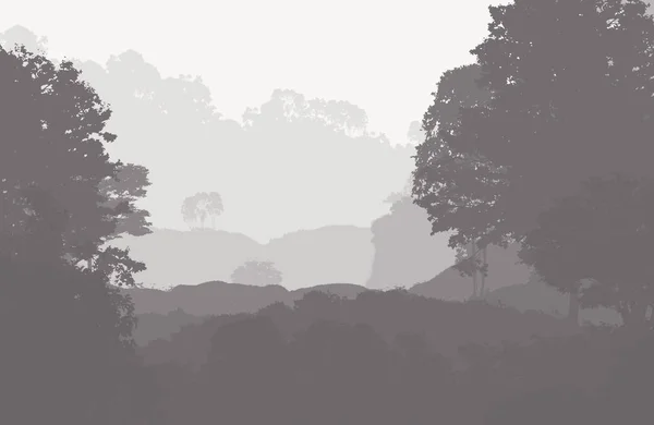 Illustrazione Alberi Nella Nebbia Foresta Profonda Foschia Colline Coperte Piante — Foto Stock