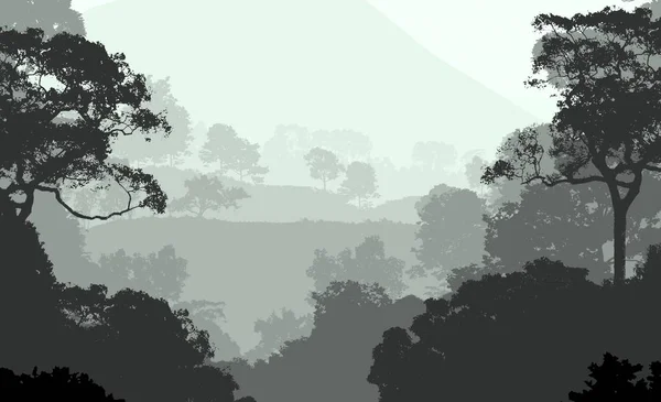 Illustration Trees Fog Deep Forest Haze Hills Covered Plants Foliage — Stock Photo, Image