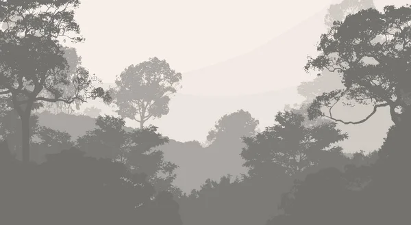 Illustration Trees Fog Deep Forest Haze Hills Covered Plants Foliage — Stock Photo, Image