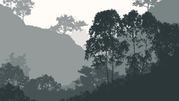 Illustrazione Alberi Nella Nebbia Foresta Profonda Foschia Colline Coperte Piante — Foto Stock