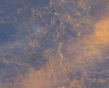 Boya lekeleriyle soyut arkaplan 