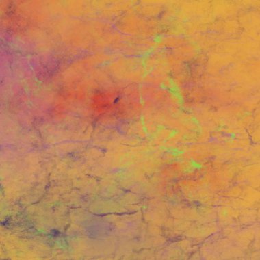 metin için alanı olan grunge arkaplanı